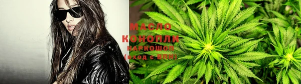 ECSTASY Богданович