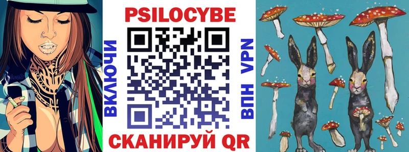 Псилоцибиновые грибы мухоморы  блэк спрут как войти  Ельня 